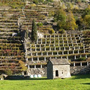 escursione-valle-aosta-donnas-nebbiolo-alpi-04_original