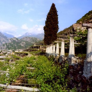 escursione-valle-aosta-donnas-nebbiolo-alpi-05_original