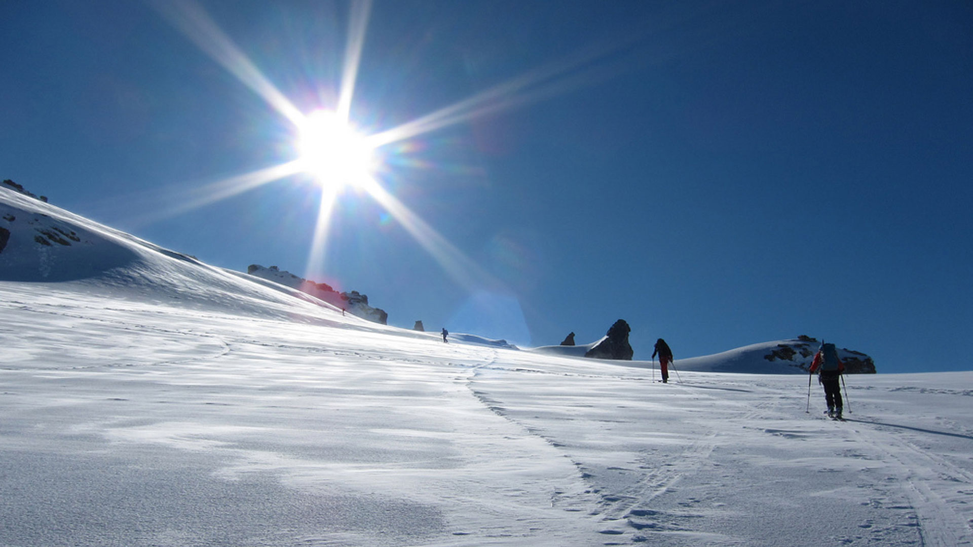 Scialpinismo sui 4000 delle Alpi tra Gran Paradiso e Monte Rosa Scialpinismo sui 4000 delle Alpi tra Gran Paradiso e Monte Rosa