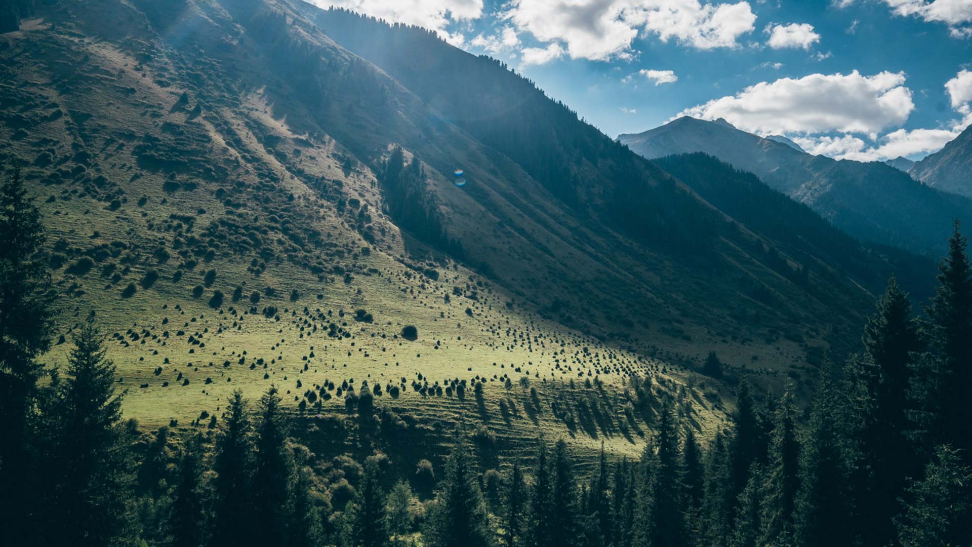 Trekking in Kirghizistan: Karakol e lago Ala Kul