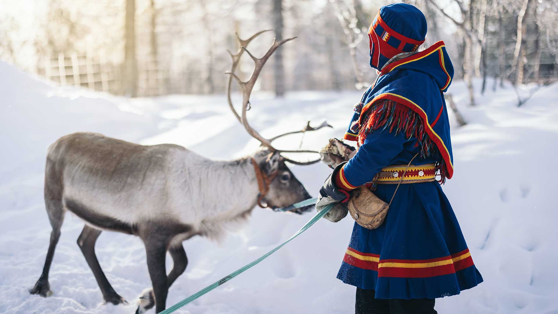 10 cose imperdibili da fare a Tromsø e in Norvegia in inverno 10 cose imperdibili da fare a Tromsø e in Norvegia in inverno