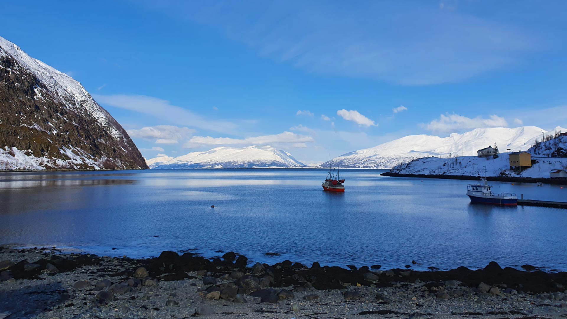 Escursione di scialpinismo in Norvegia sui pendii delle Alpi di Lyngen affacciati sui fiordi artici.