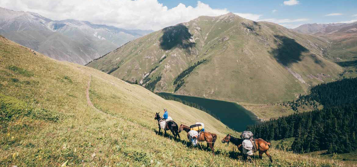 Guide e Staff Verticalife: professionisti del settore