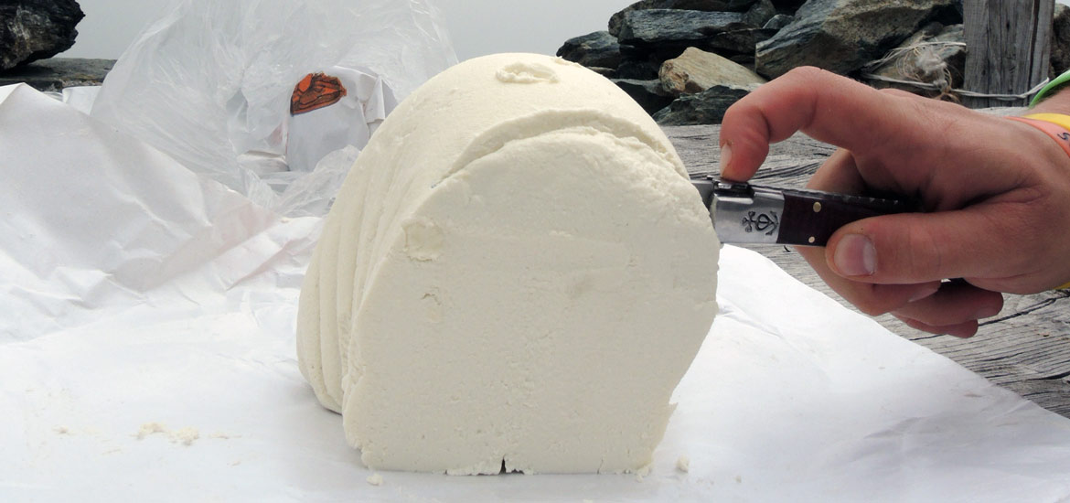 Typical Italian Alpine cuisine and products: seirass del fen cheese Typical Italian Alpine cuisine and products: seirass del fen cheese