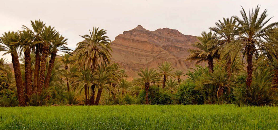 Viaggio Trekking in Marocco: preparare il bagaglio per il tour Viaggio Trekking in Marocco: preparare il bagaglio per il tour