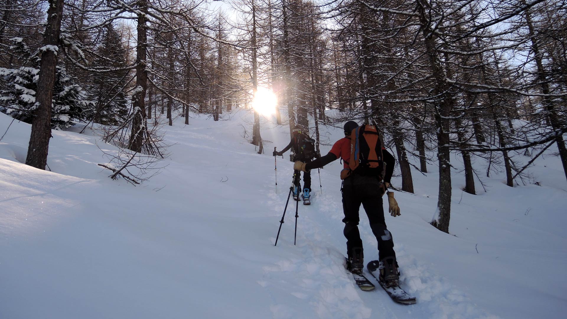 Scialpinismo - consigli pratici
