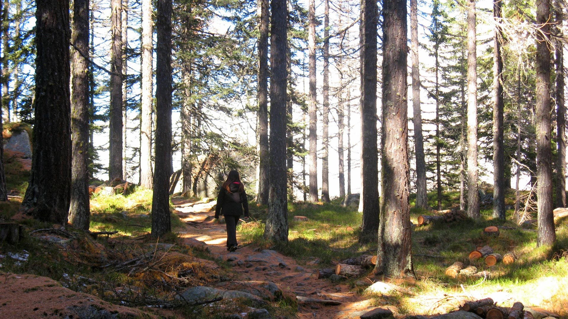 Perché pianificare un trekking estivo con anticipo