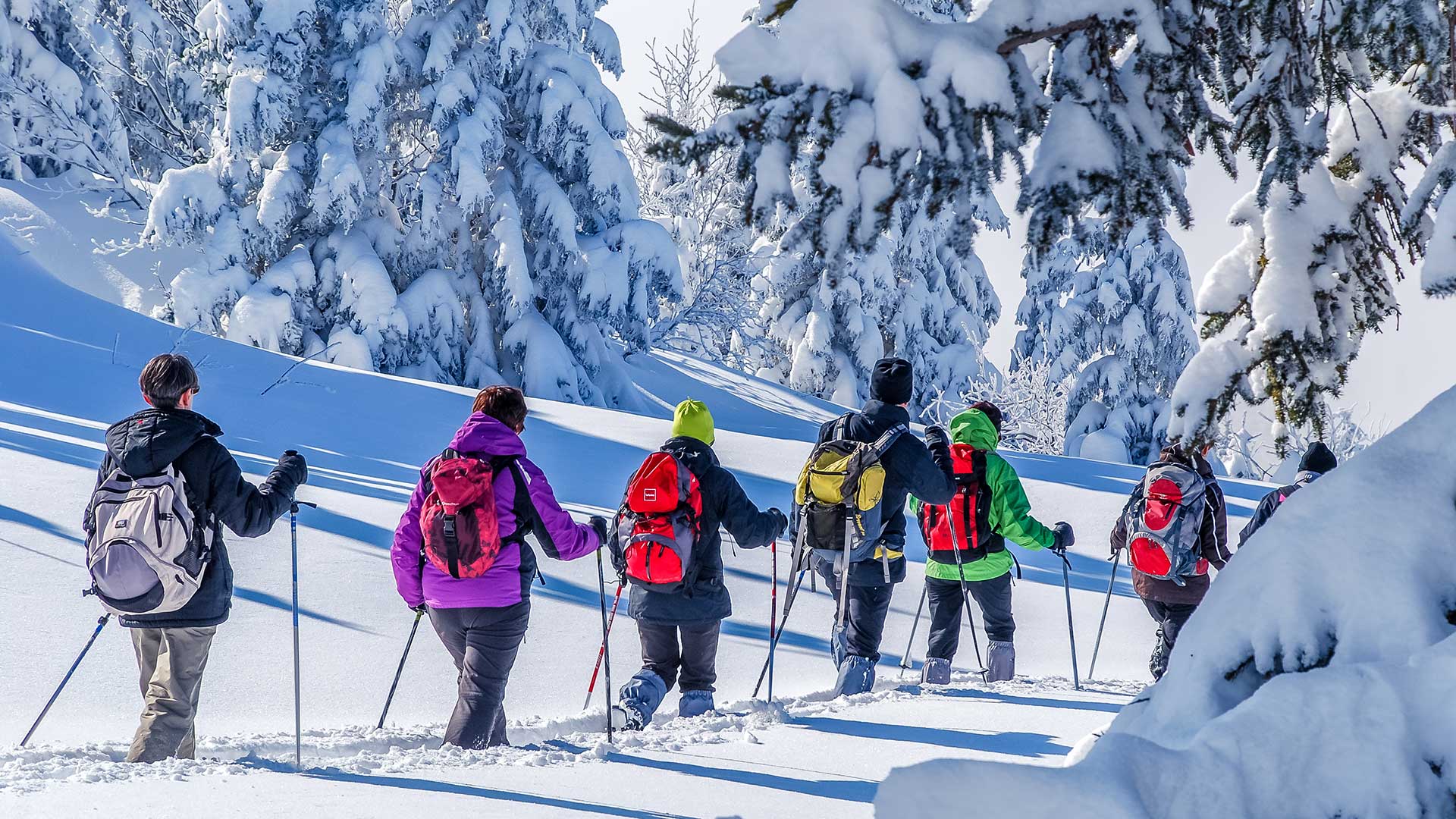 fare trekking in inverno - consigli fare trekking in inverno - consigli