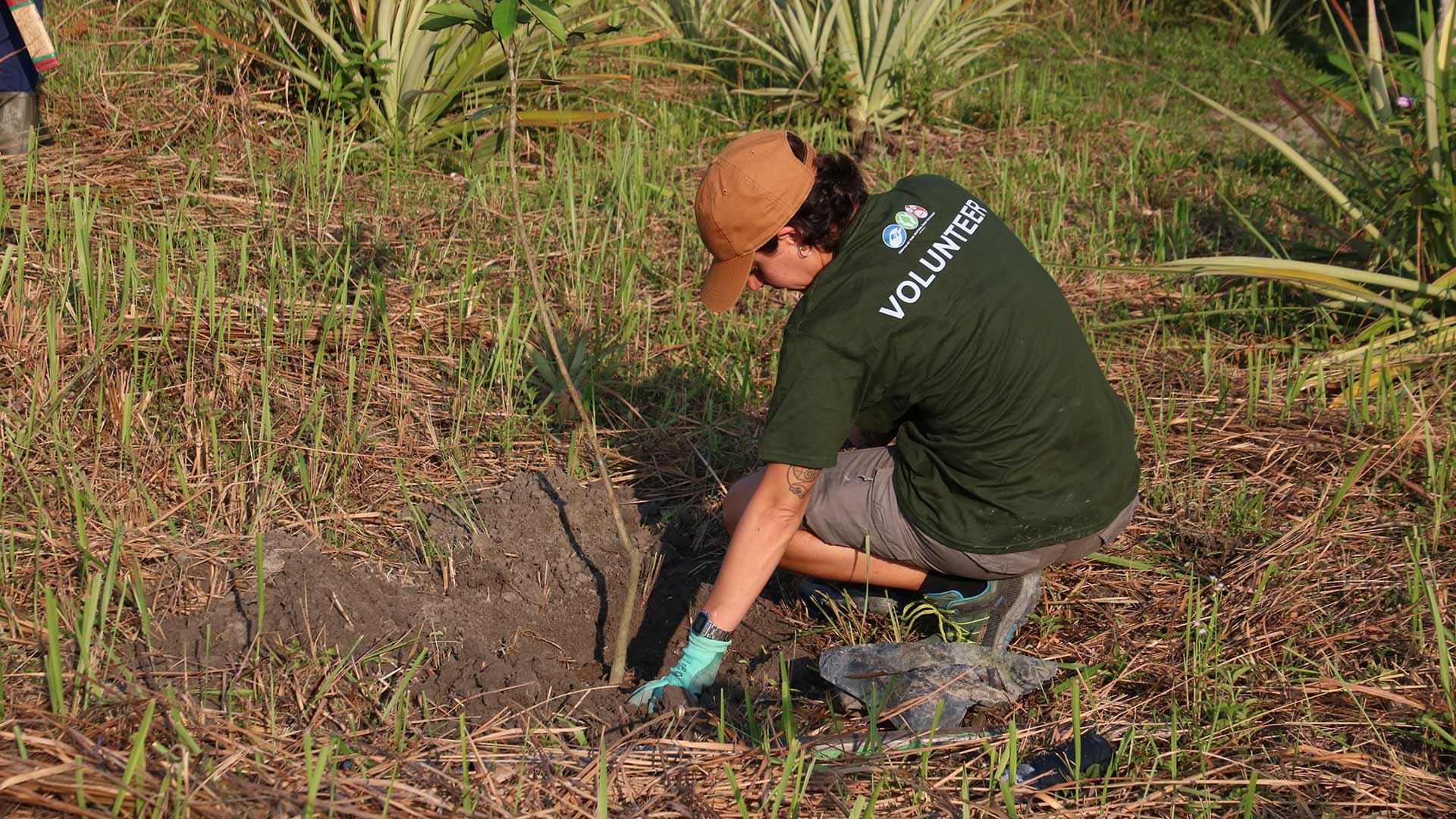 Indonesia - Borneo: Jerumbun, progetto di riforestazione e volontariato