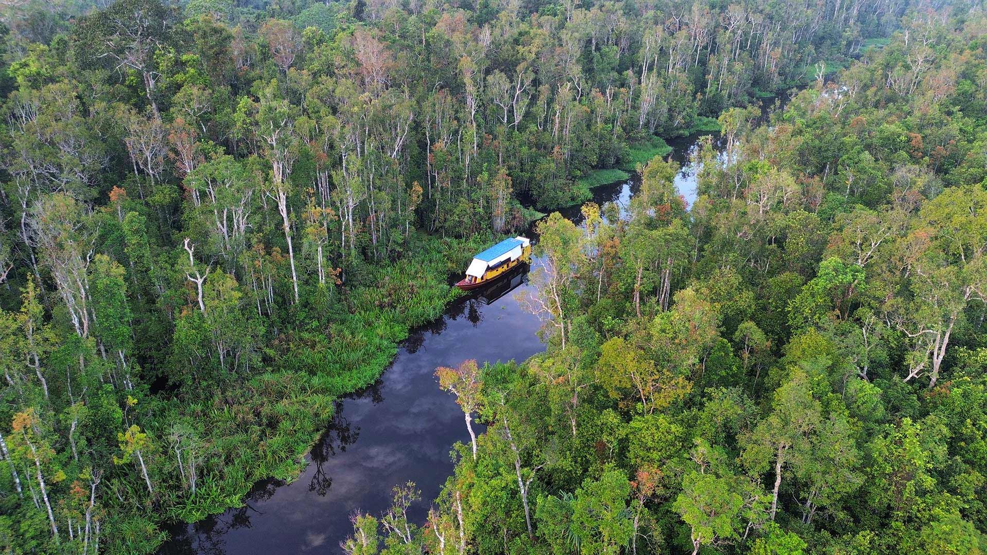 Indonesia - Borneo: Jerumbun, progetto di riforestazione e volontariato