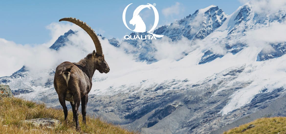 Gran Paradiso National Park awards Verticalife with its Quality Mark Gran Paradiso National Park awards Verticalife with its Quality Mark