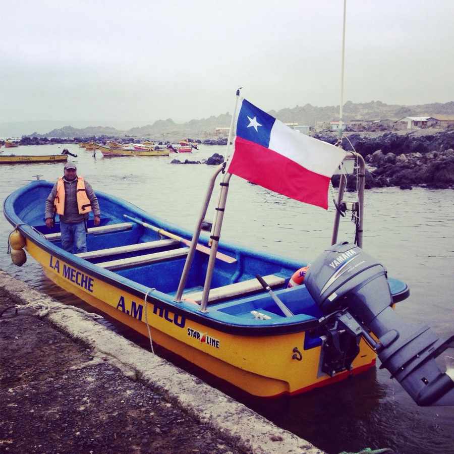Viaggiare in Cile: Avvistamento Balene, racconto di viaggio Viaggiare in Cile: Avvistamento Balene, racconto di viaggio