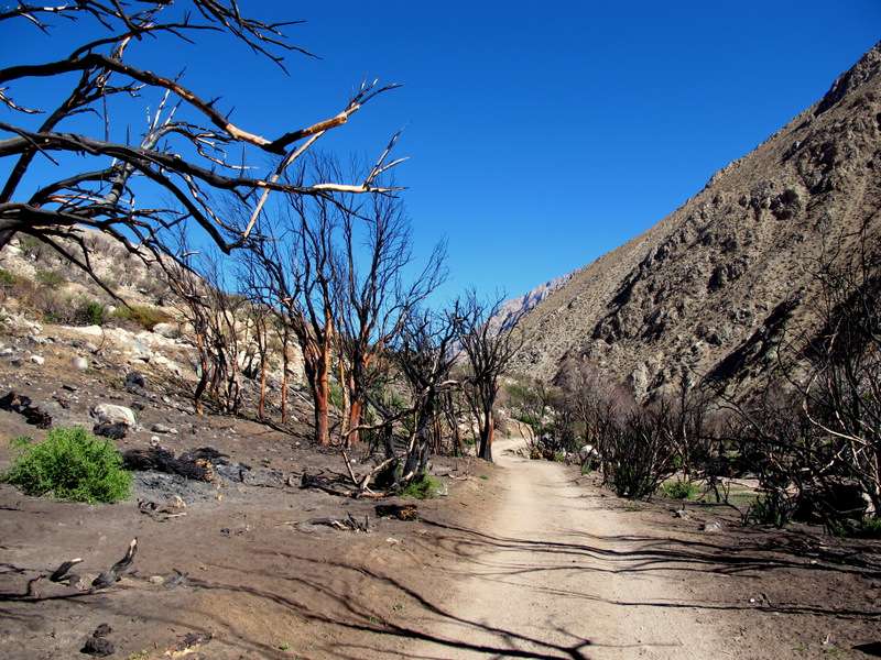 Viaggiare in Cile: racconto di viaggio