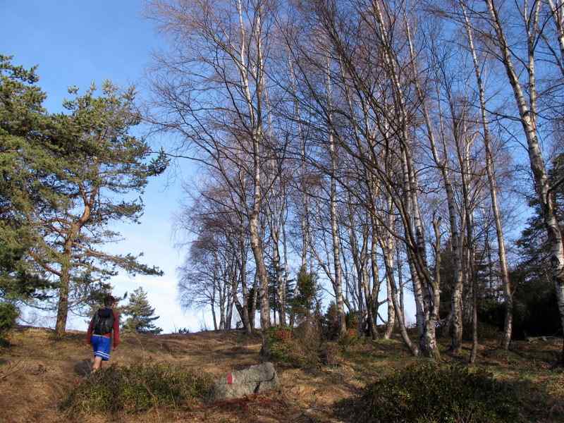 Alpinismo in Piemonte: Uscita al Monte Civrari, Cresta Sud