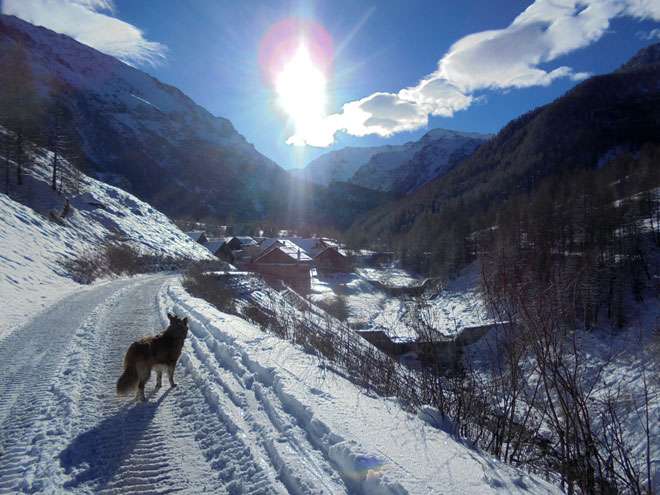 Scialpinismo Monte Giassez Uscita Scialpinismo Monte Giassez Uscita