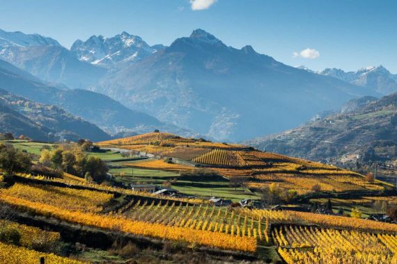 Trekking del Donnas: il Nebbiolo delle Alpi
