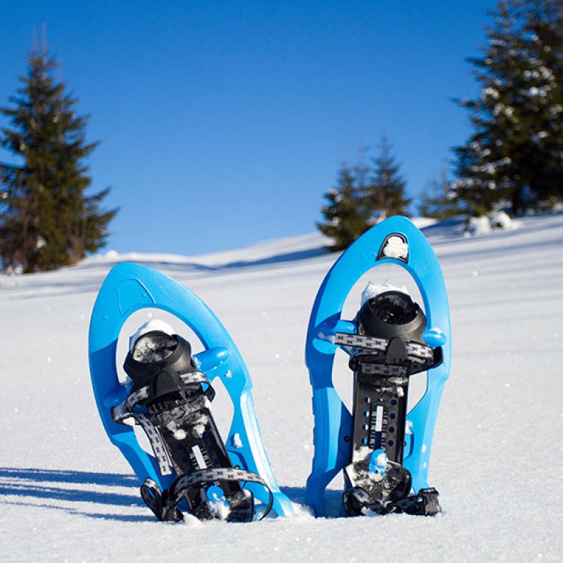 Snowshoe rental