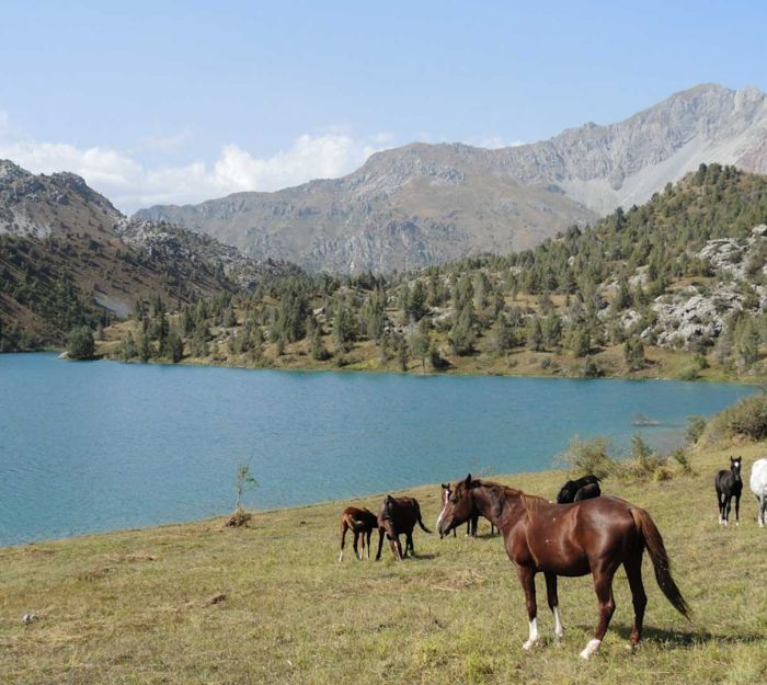 Fotogallery di Viaggio - Trekking in Kirghizistan: Sary Chelek