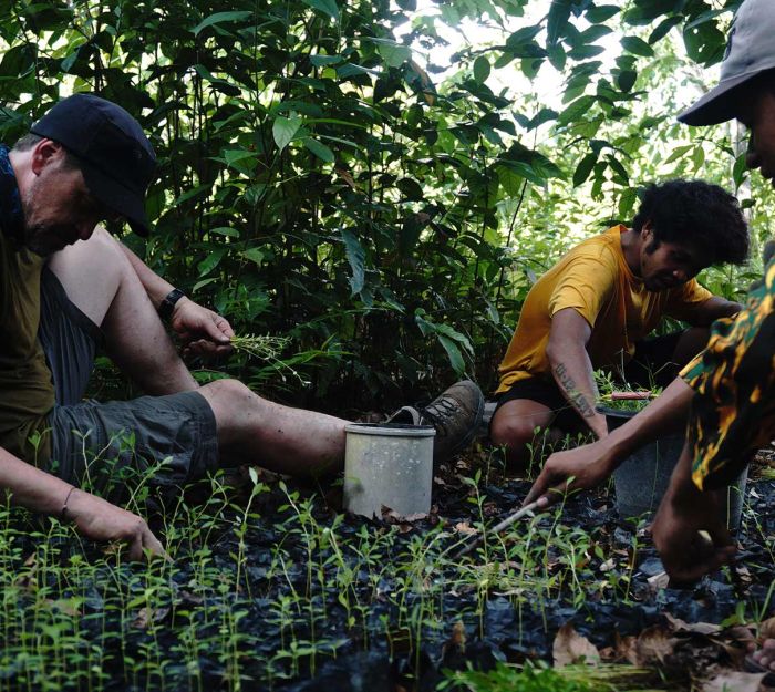 Salvare il Cuore Verde del Borneo: La Sfida del Progetto Jerumbun