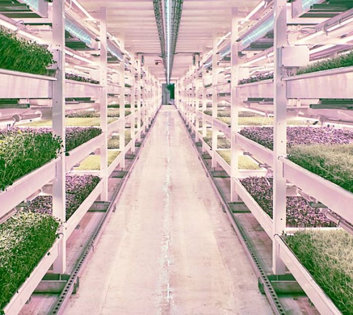 Sustainable development: Vertical Farming!