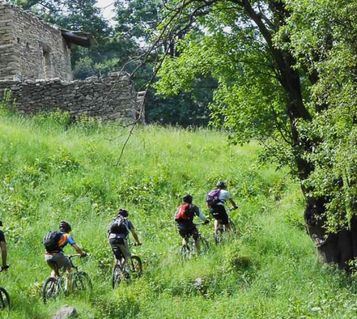 MTB ed E-bike: In sella senza pensieri