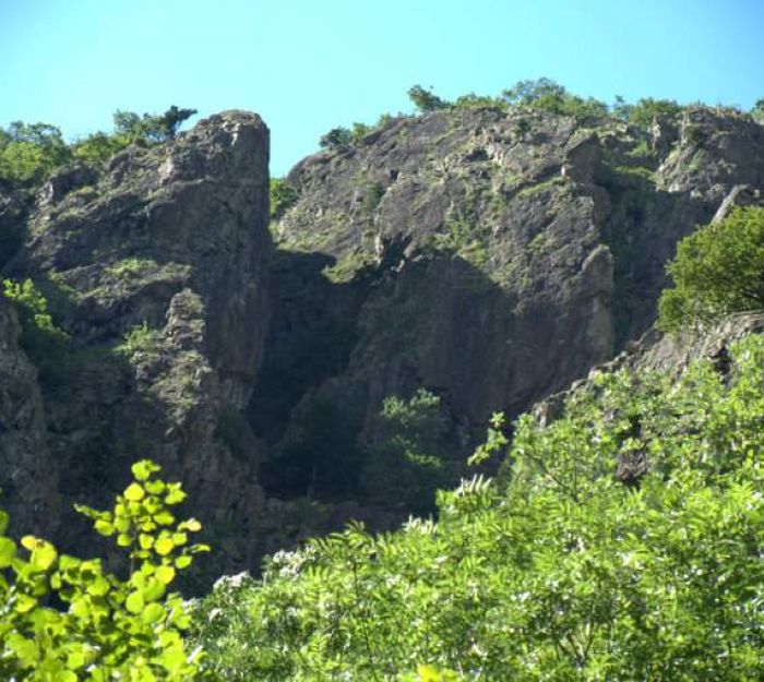 Caprie Vertical...ife